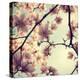 Pink Blossoms-Irene Suchocki-Premier Image Canvas