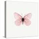 Pink Butterfly-PhotoINC-Premier Image Canvas