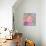 Pink Butterfly-Jennifer McCully-Premier Image Canvas displayed on a wall