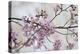 Pink Cherry Blossoms Bloom On A Tree In Washington, DC, Spring At The Peak Of Cherry Blossom Season-Karine Aigner-Premier Image Canvas
