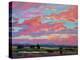 Pink Clouds Over the Foothills-Patty Baker-Stretched Canvas