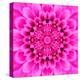 Pink Concentric Flower Center: Mandala Kaleidoscopic Design-tr3gi-Stretched Canvas