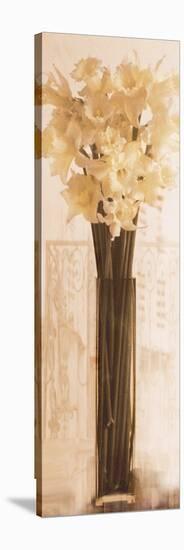 Pink Daffodils in a Glass Vase-Richard Sutton-Stretched Canvas