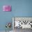 Pink Dahlia-Karyn Millet-Premier Image Canvas displayed on a wall