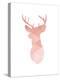 Pink Deer-Melinda Wood-Stretched Canvas