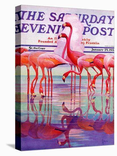"Pink Flamingos," Saturday Evening Post Cover, January 29, 1938-Francis Lee Jaques-Premier Image Canvas