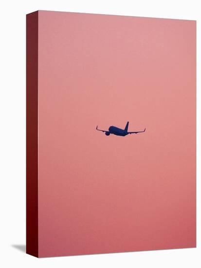 Pink Flight-Design Fabrikken-Premier Image Canvas