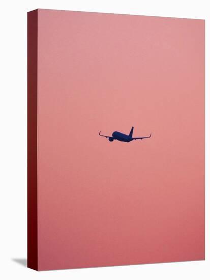 Pink Flight-Design Fabrikken-Premier Image Canvas