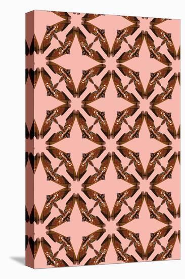 Pink Floral Moth Tiles-Belen Mena-Premier Image Canvas