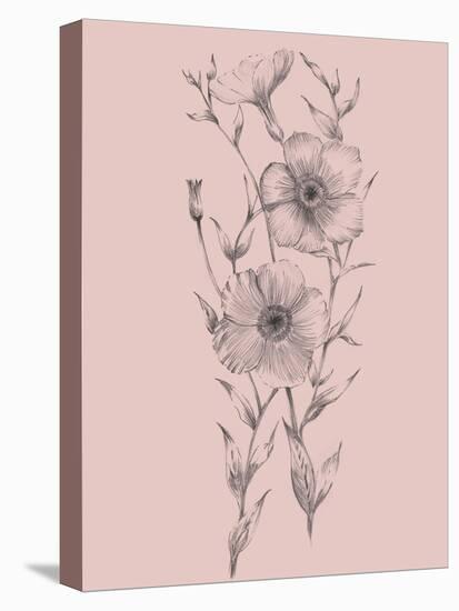 Pink Flower Sketch Illustration I-Jasmine Woods-Stretched Canvas