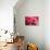 Pink Flower-PhotoINC-Premier Image Canvas displayed on a wall