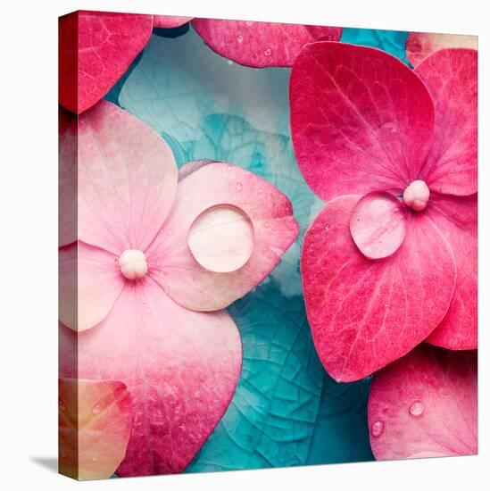 Pink Flowers-null-Premier Image Canvas