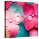 Pink Flowers-null-Premier Image Canvas