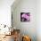 Pink Flowers-null-Premier Image Canvas displayed on a wall