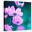 Pink Flowers-null-Premier Image Canvas