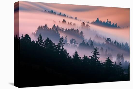 Pink Fog Flow, Sunset Mood and Flow, Marin County, San Francisco-Vincent James-Premier Image Canvas