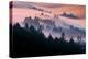 Pink Fog Flow, Sunset Mood and Flow, Marin County, San Francisco-Vincent James-Premier Image Canvas