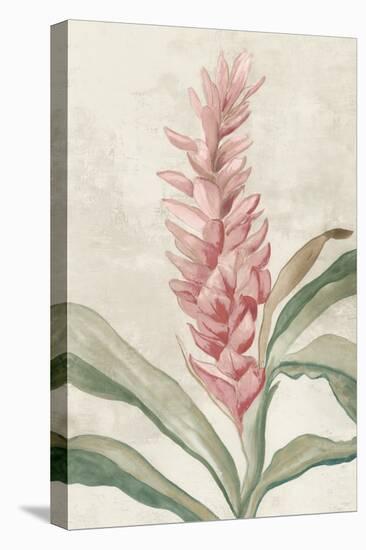 Pink Ginger I-Jacob Q-Stretched Canvas