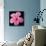 Pink Hibiscus-Christine Zalewski-Stretched Canvas displayed on a wall