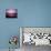 Pink Horizon-Josh Adamski-Premier Image Canvas displayed on a wall