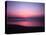 Pink Horizon-Josh Adamski-Premier Image Canvas