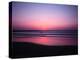 Pink Horizon-Josh Adamski-Premier Image Canvas