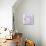 Pink Hydrangea II-Kathy Mahan-Premier Image Canvas displayed on a wall