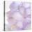 Pink Hydrangea II-Kathy Mahan-Premier Image Canvas