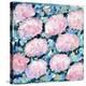 Pink Hydrangeas-Michelle Brunner-Stretched Canvas