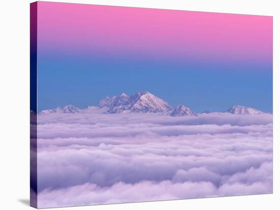 Pink in the Sky-Ales Krivec-Premier Image Canvas