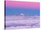 Pink in the Sky-Ales Krivec-Premier Image Canvas