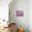 Pink Jellyfish-Lauren Moss-Premier Image Canvas displayed on a wall