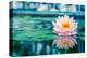 Pink Lotus with Reflection-null-Stretched Canvas