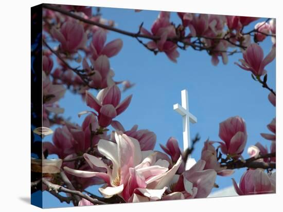 Pink Magnolia Tree and Church Steeple, Reading, Massachusetts, USA-Lisa S^ Engelbrecht-Premier Image Canvas