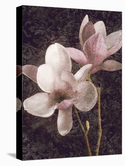 Pink Magnolias I-John Seba-Stretched Canvas