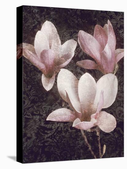Pink Magnolias II-John Seba-Stretched Canvas
