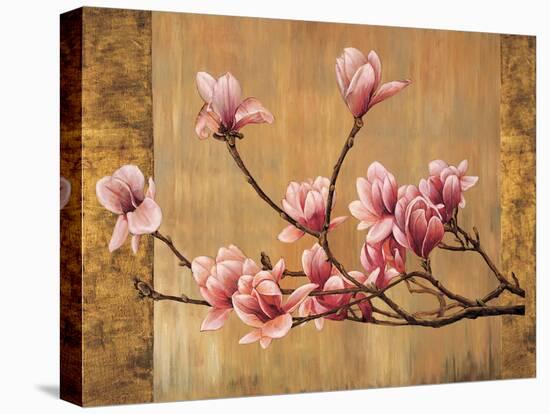 Pink Magnolias-Erin Lange-Stretched Canvas