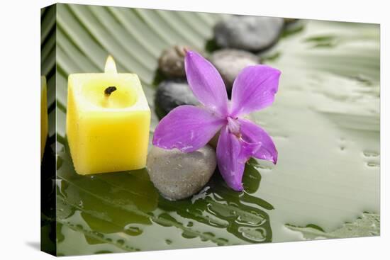 Pink Orchid and Stones with Yellow Candle on Wet Banana Leaf-crystalfoto-Premier Image Canvas