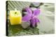 Pink Orchid and Stones with Yellow Candle on Wet Banana Leaf-crystalfoto-Premier Image Canvas