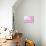 Pink Orchid I-null-Stretched Canvas displayed on a wall
