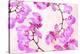 Pink Orchid II-null-Stretched Canvas