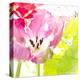 Pink Parrot Tulip-Judy Stalus-Stretched Canvas