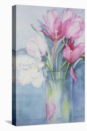 Pink Parrot Tulips and Marlette-Karen Armitage-Premier Image Canvas