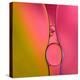 Pink Passage-Heidi Westum-Premier Image Canvas