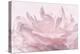 Pink Peony Petals III-Cora Niele-Premier Image Canvas
