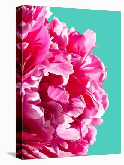 Pink Peony-Lexie Greer-Premier Image Canvas