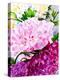 Pink Peony-Neela Pushparaj-Premier Image Canvas