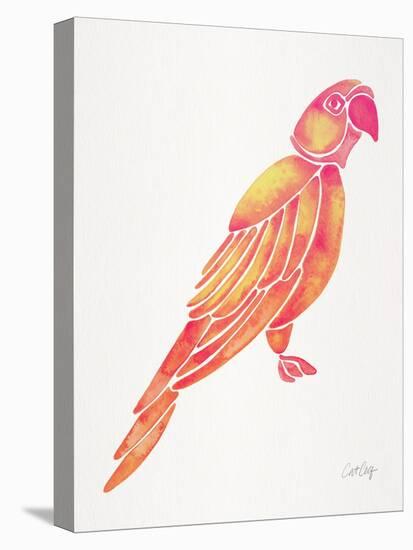 Pink Perched Parrot-Cat Coquillette-Stretched Canvas