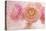 Pink Persian Buttercup Bouquet-Cora Niele-Premier Image Canvas