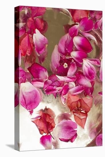Pink Petals Abstract II-Karyn Millet-Premier Image Canvas